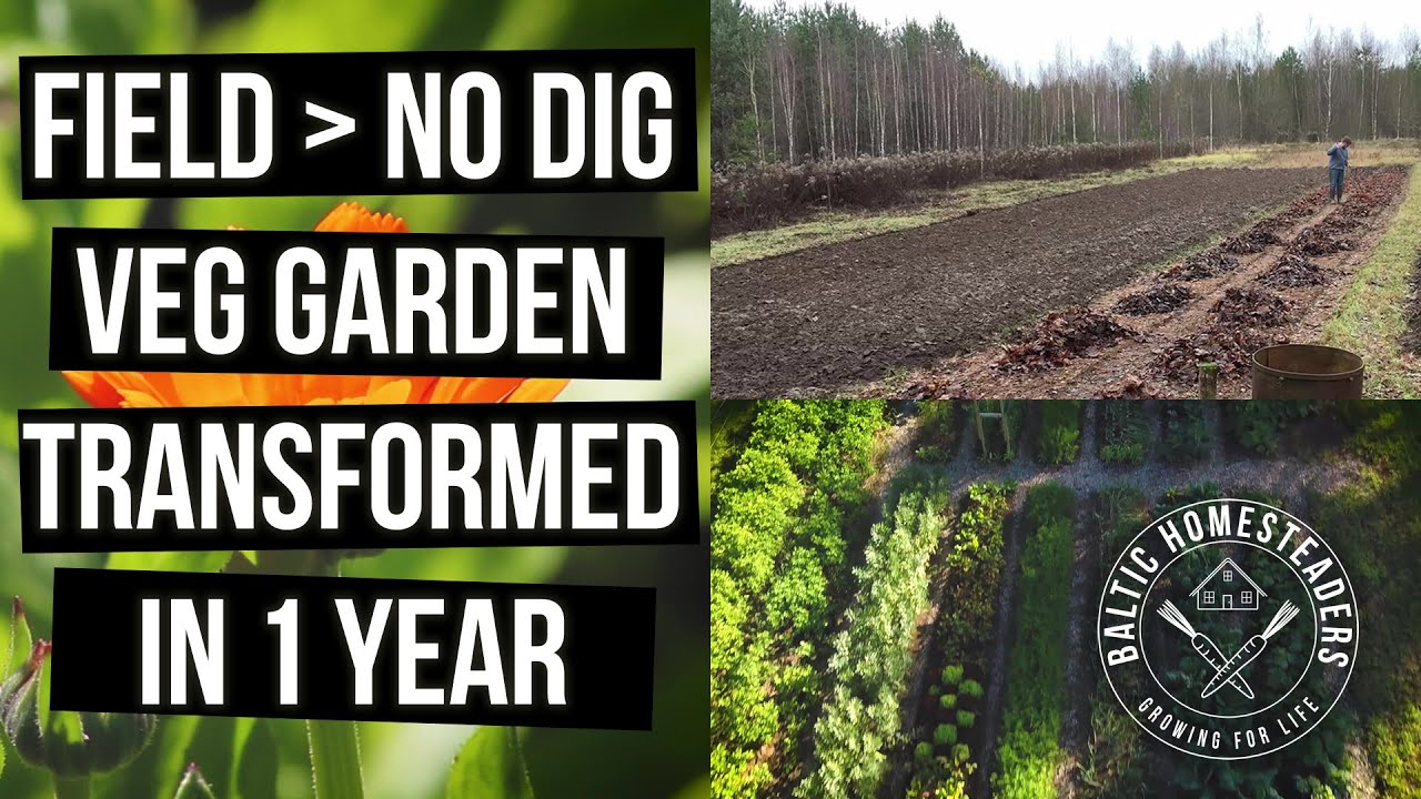 No Dig Vegetable Garden Transformation in 1 Year