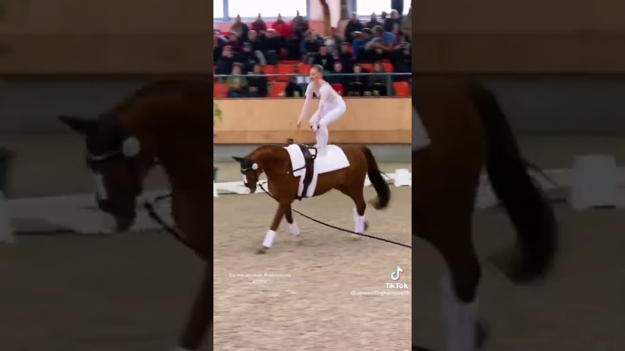 volteggio