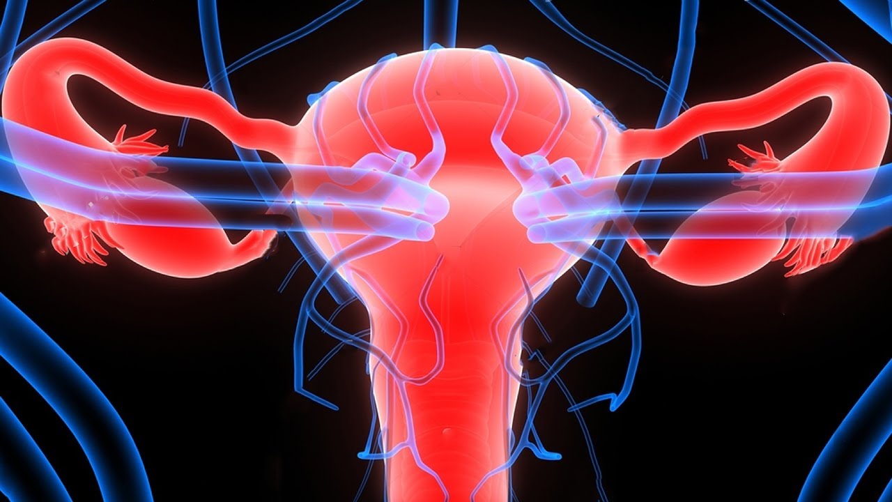 Bladder Healing Frequencies. - Heal & Clean Bladder (Rife Frequency)