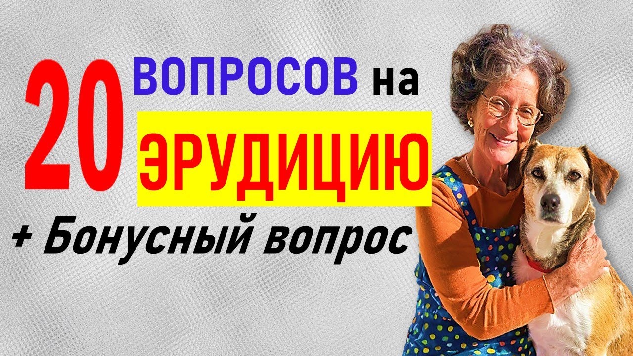 Проверка интеллекта. Тест на эрудицию и общие знания. 20 вопросов разной тематики