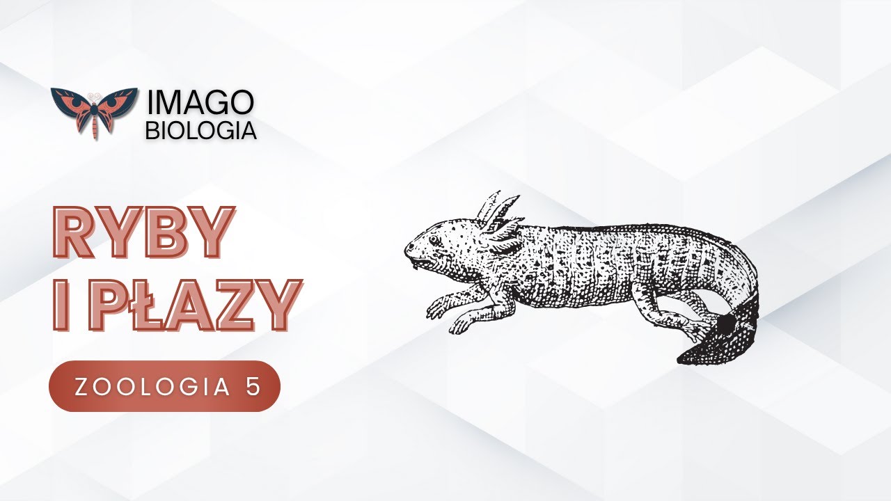 Ryby i płazy