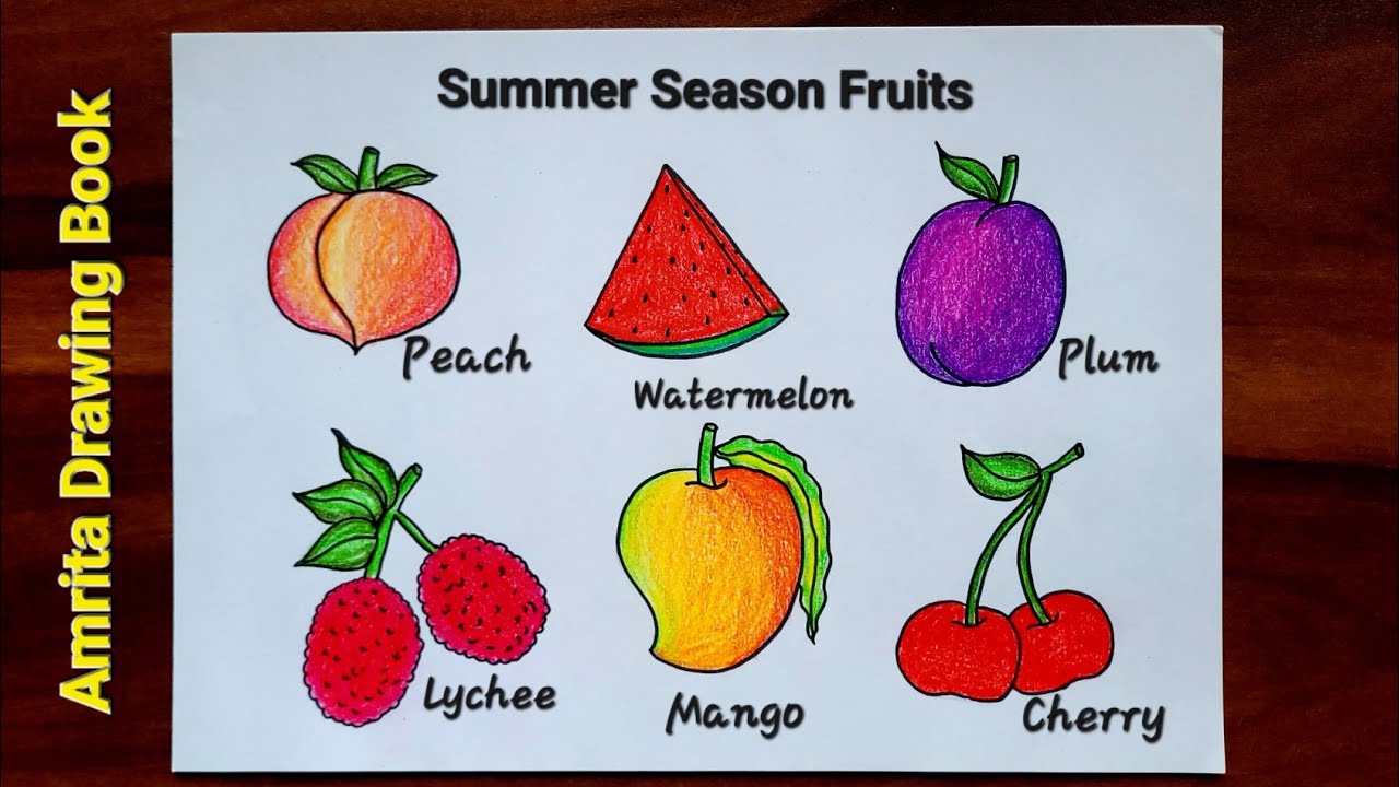 Summer Season Fruits Drawing | How to Draw Summer Fruits | Easy Fruits Drawing