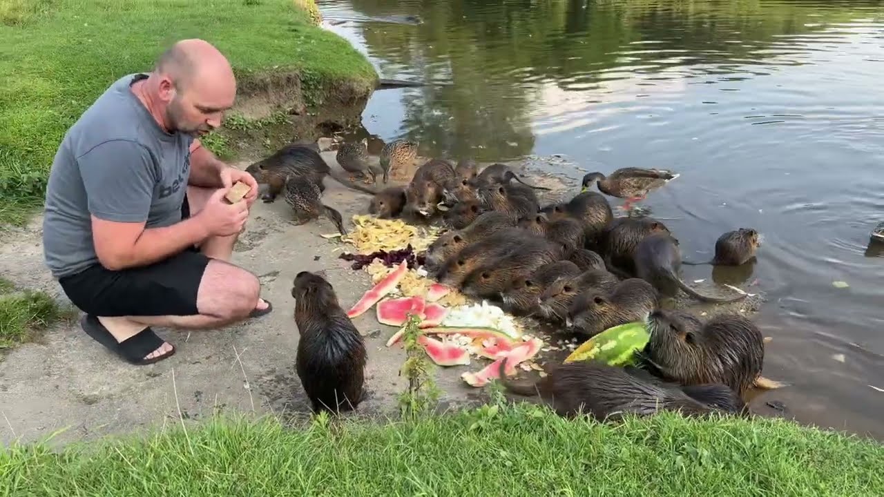 Радісна мить прийшла вечеря 🦫🥰