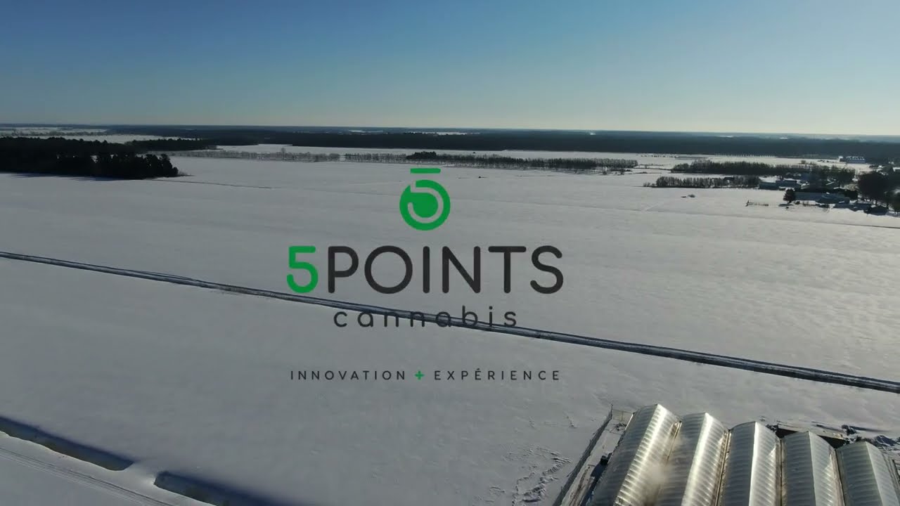 5 Points Cannabis