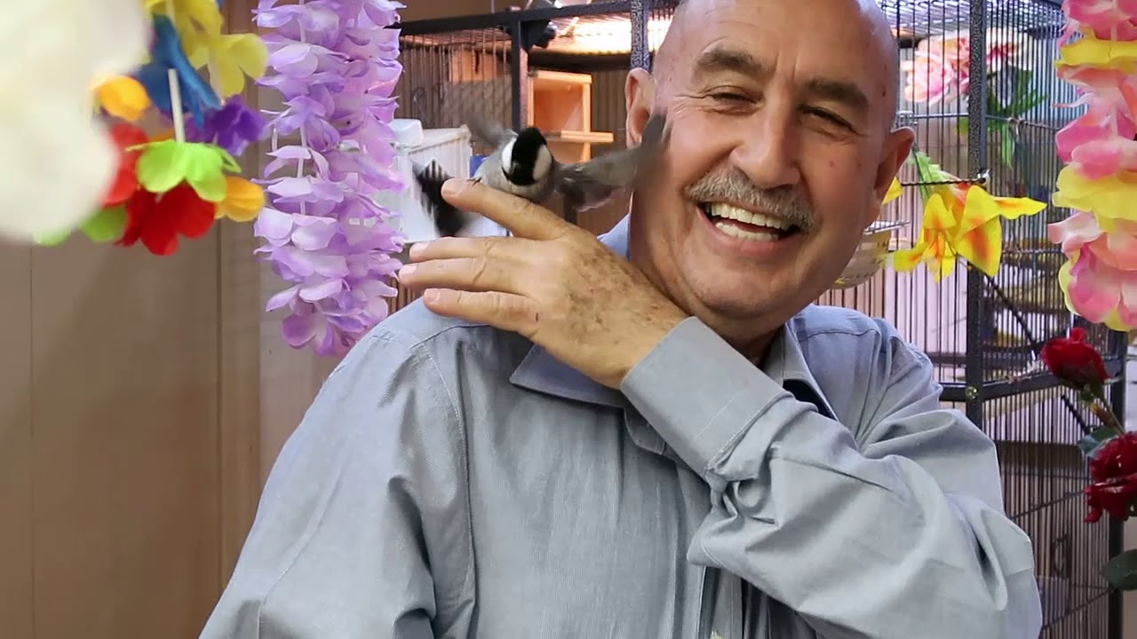 احلى شيءفي البلابل شقاوتهم