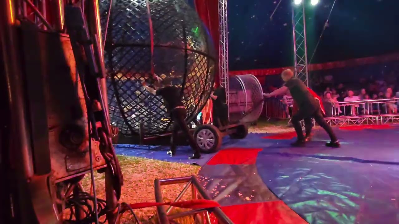 American circus merthyr 2024