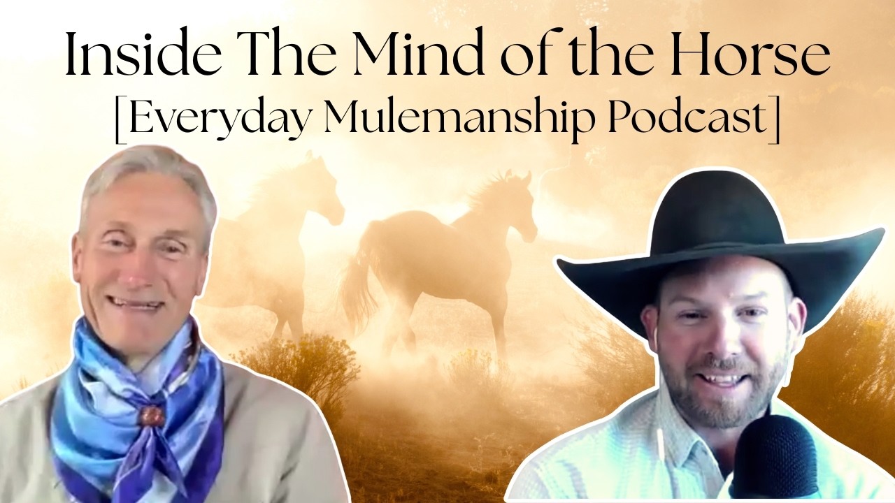Evidence-Based Horsemanship: A Glimpse Into A Horse's Brain [PODCAST EPISODE]