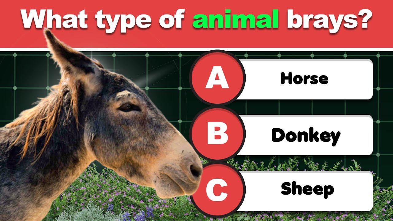 Can You Pass This Ultimate General Knowledge Test? 🎓 | 30 Trivia Quiz Questions!