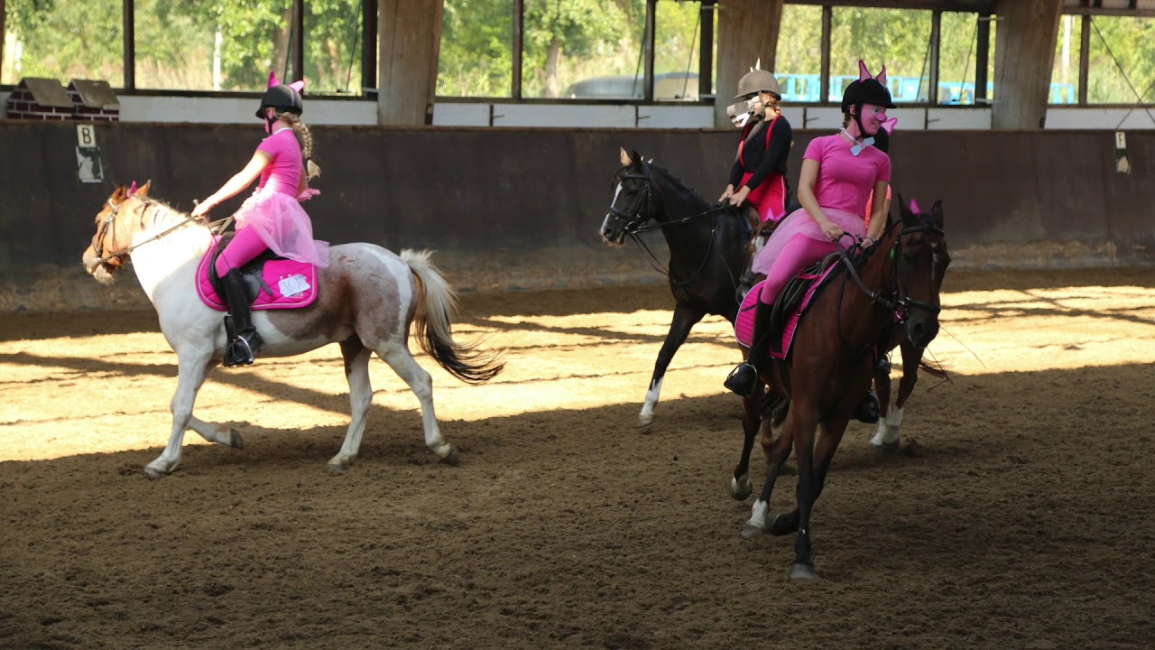 opendag Goudse Manege 2018