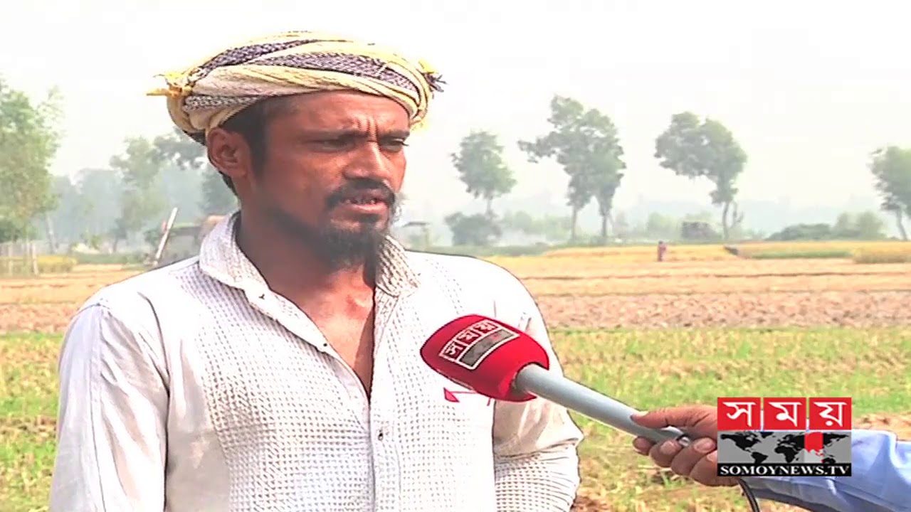Rangpur farmers worried about Aman cultivation | Paddy of Bangladesh | Somoy TV