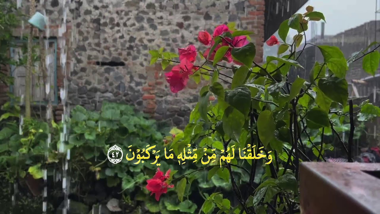 👉 Yosin surasi (to‘liq) | Chiroyli va xotirjam qiluvchi tilovat