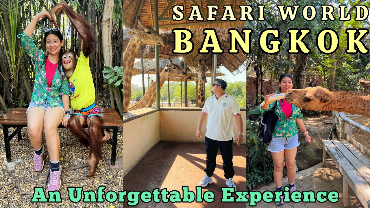 Bangkok Safari World and Marine Park | Full Day Tour With Lunch | Complete Details