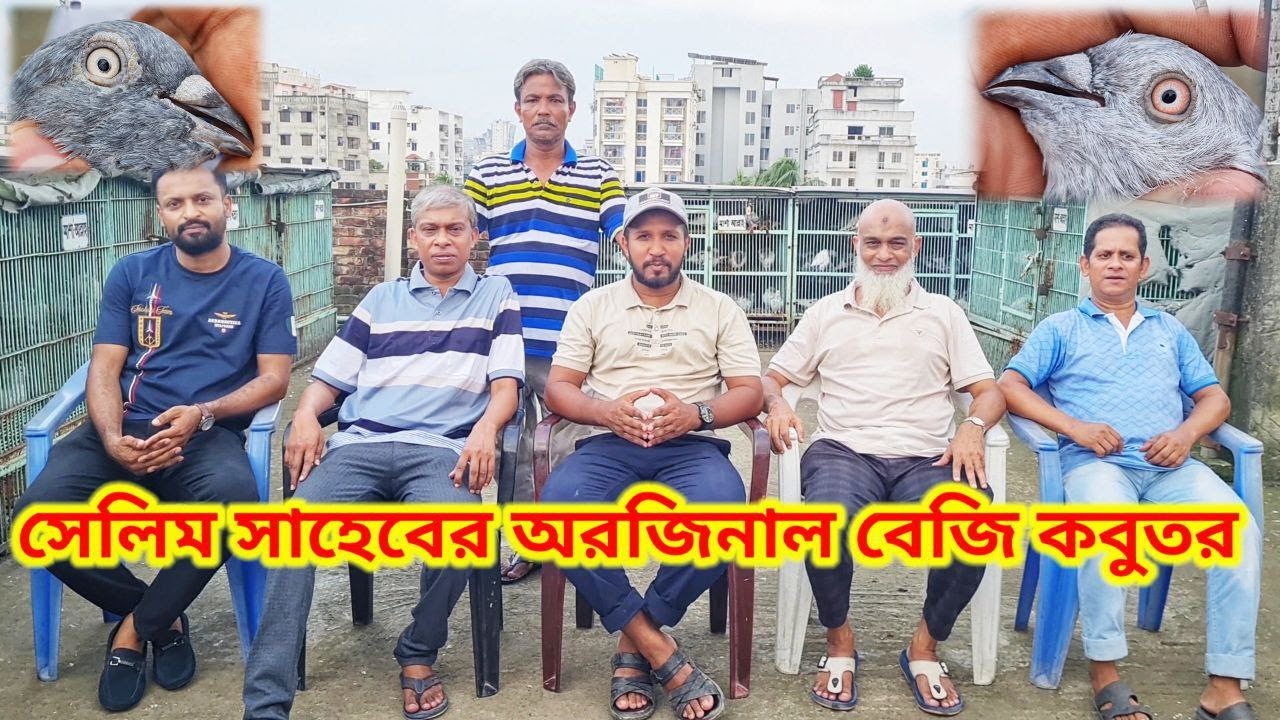 লালবাগের সেলিম ভাইয়ের অরিজিনাল বেজি কবুতরের ধরণ ও পেটাম এই ভিডিওতে আলোচনা | Miraj Pigeon & Pets