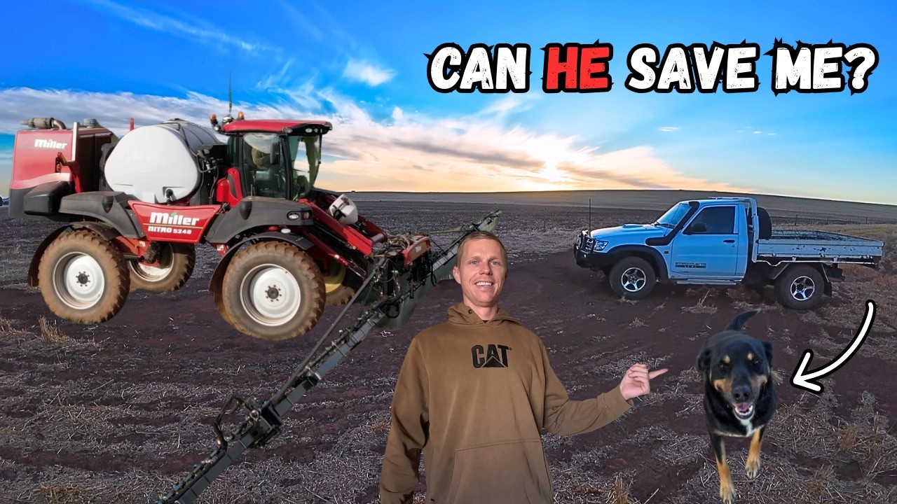 I'll Send The Dog Around & See If He Can Save Me | Stock Water Run, Summer Spray & 9770 Inspection