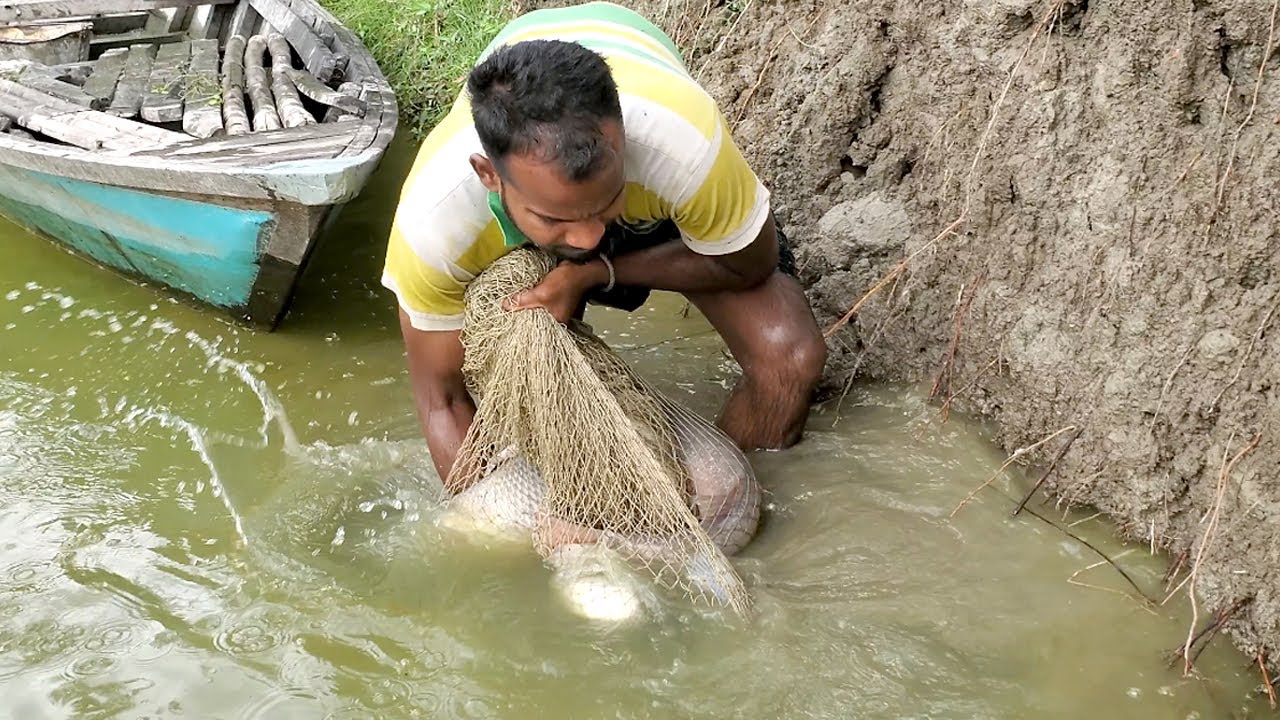Big Fish Hunting By Cast Net | Amazing Net Fishing With Beautiful Nature