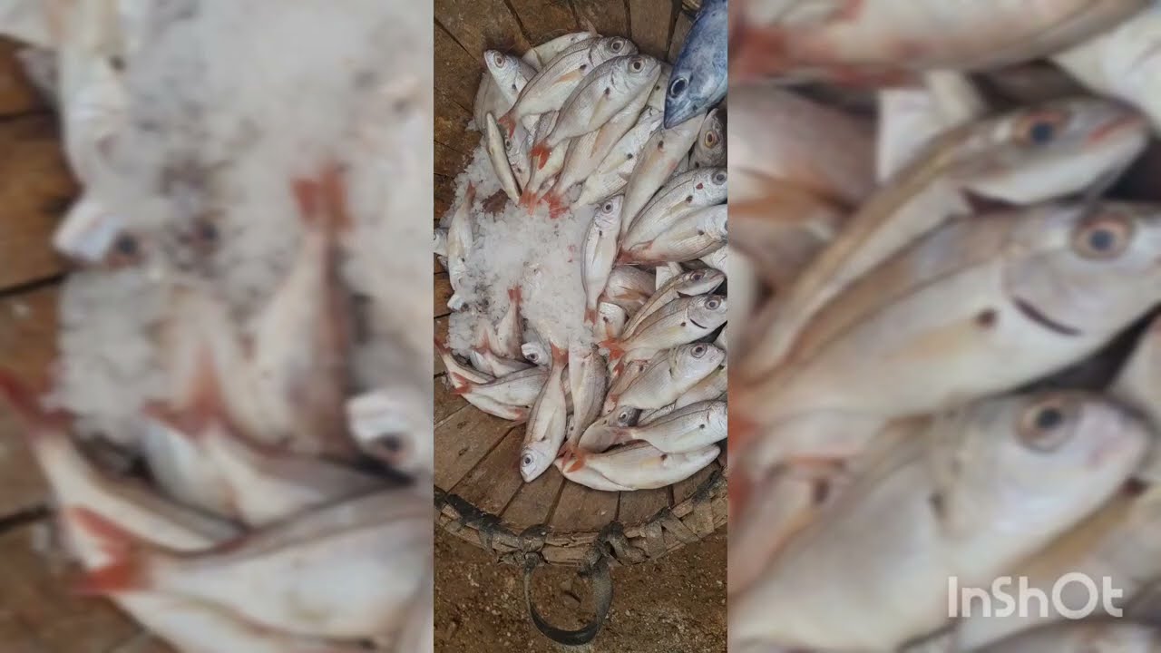سوق الخميس تامسامان