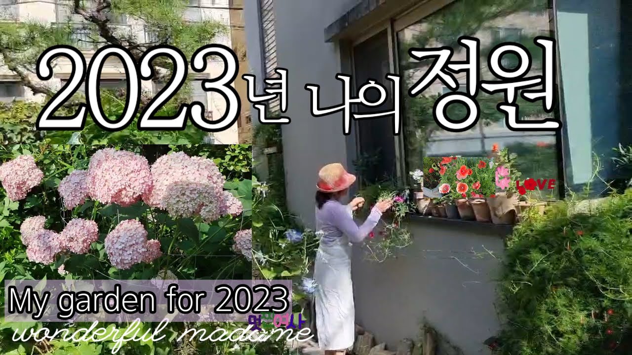 2023년, 나의 사계절 정원  일기 /  아름다운 나의 정원, 머무르고 싶었던 순간들! My garden diary for all four seasons in 2023