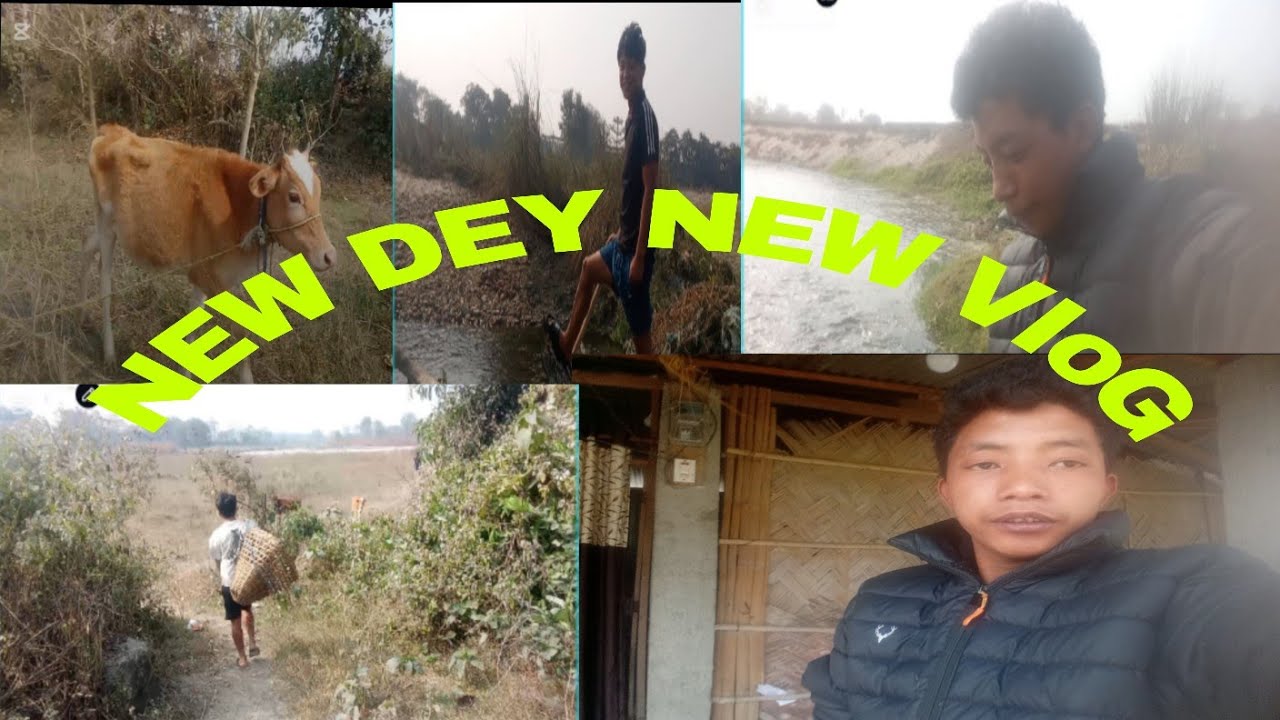Japama daura katdai 