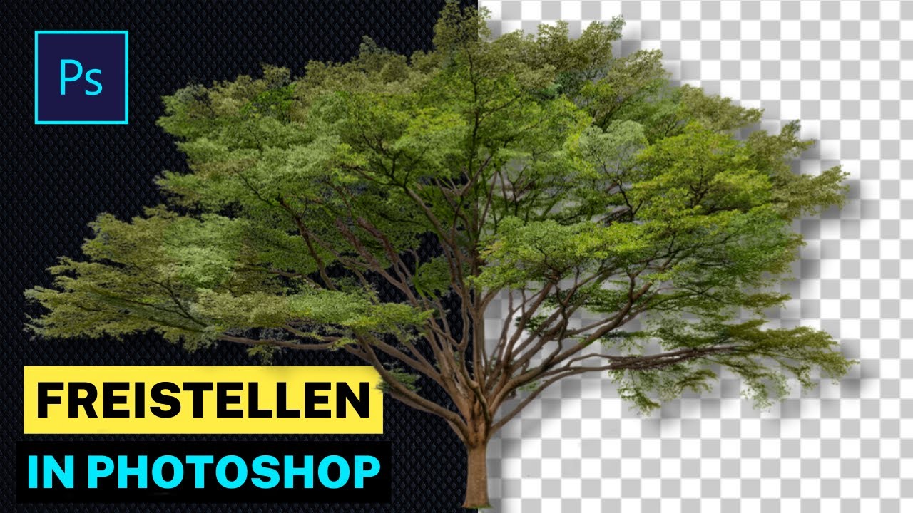 Hintergrund entfernen in Photoshop Tutorial 2024 | Ausschneiden, Bäume freistellen in Photoshop