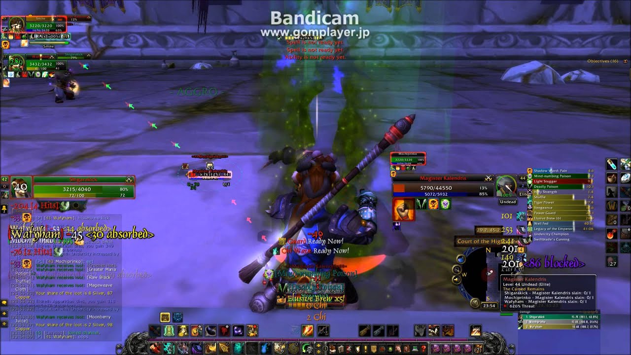 World of Warcraft■タヌキン仲間と冒険だ！移動の方が長いですねの巻き
