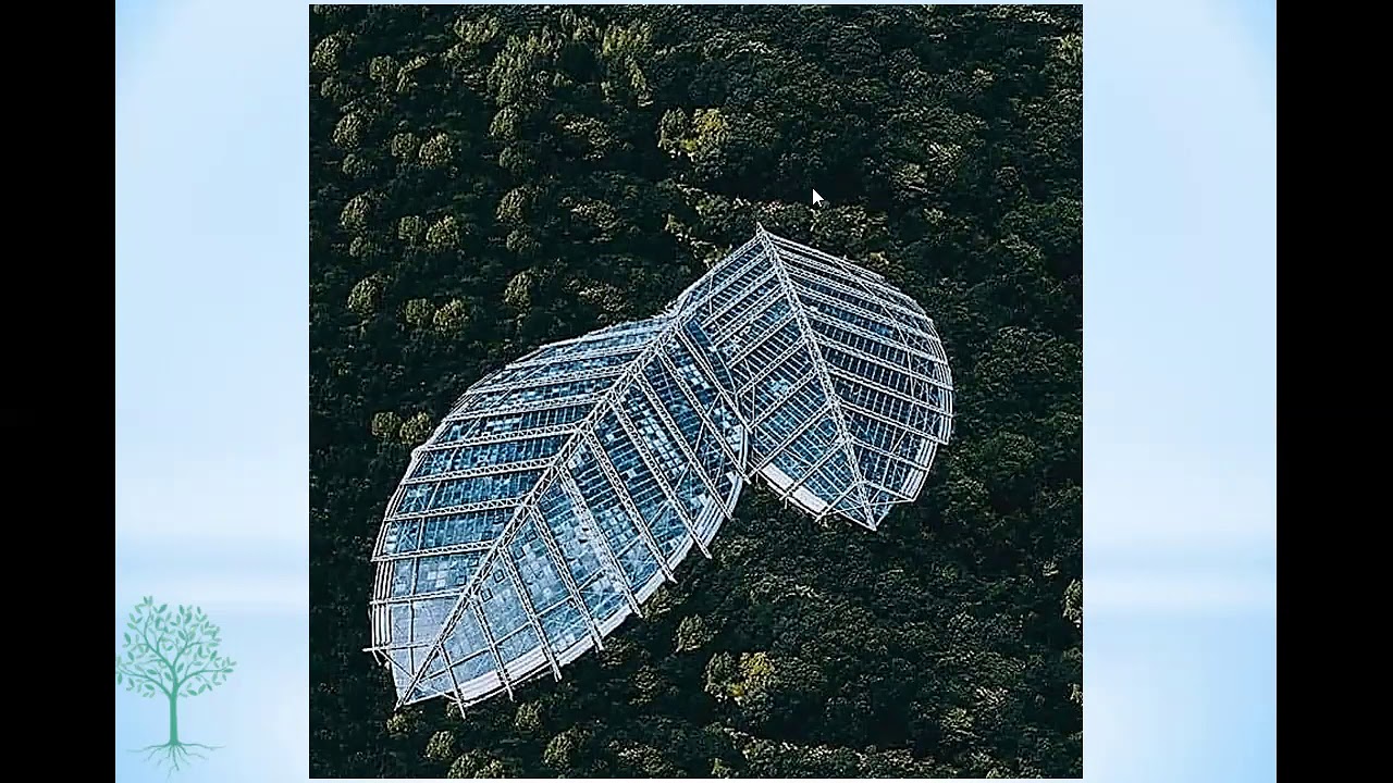 تجريد الطبيعة من حيوانات ونباتات لتحويلها الى كتل معمارية - الاستاذ دكتور / إيمان فايز باسيلي