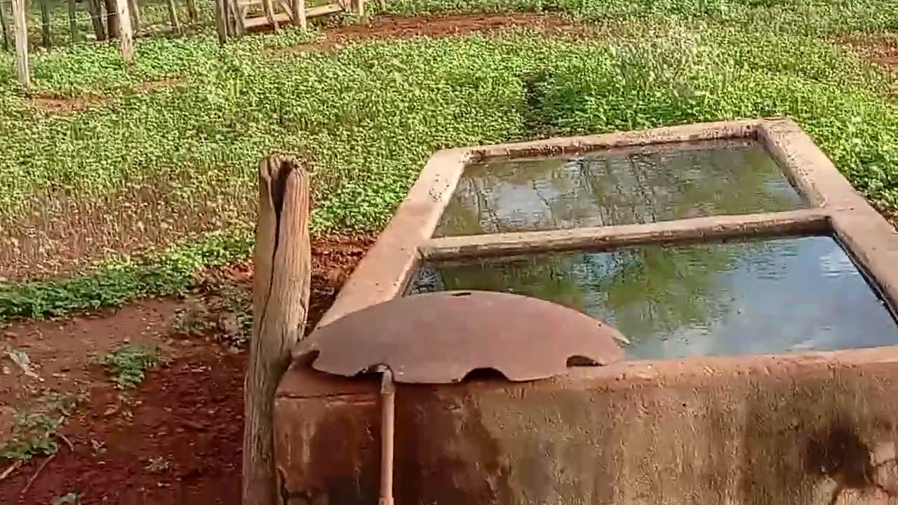 Tamos indo pra casa deixando a roça mais em breve tamos voltando 