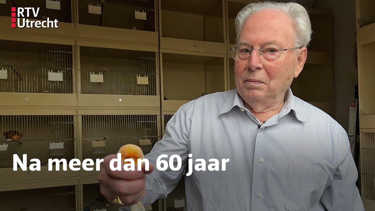 😢 Kanariekweker Ton (80) stopt | RTV Utrecht
