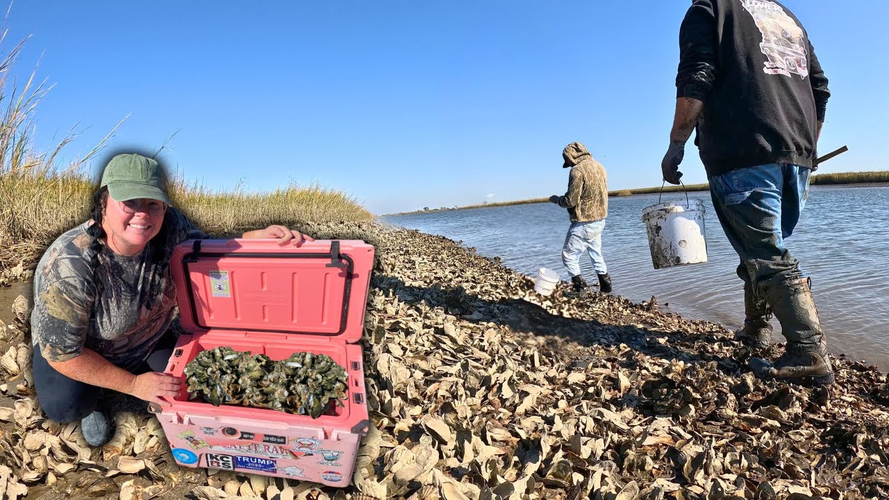 Сбор диких устриц с лодки (застрял в грязи!) | Catch & Cook-Oyster Rockefeller