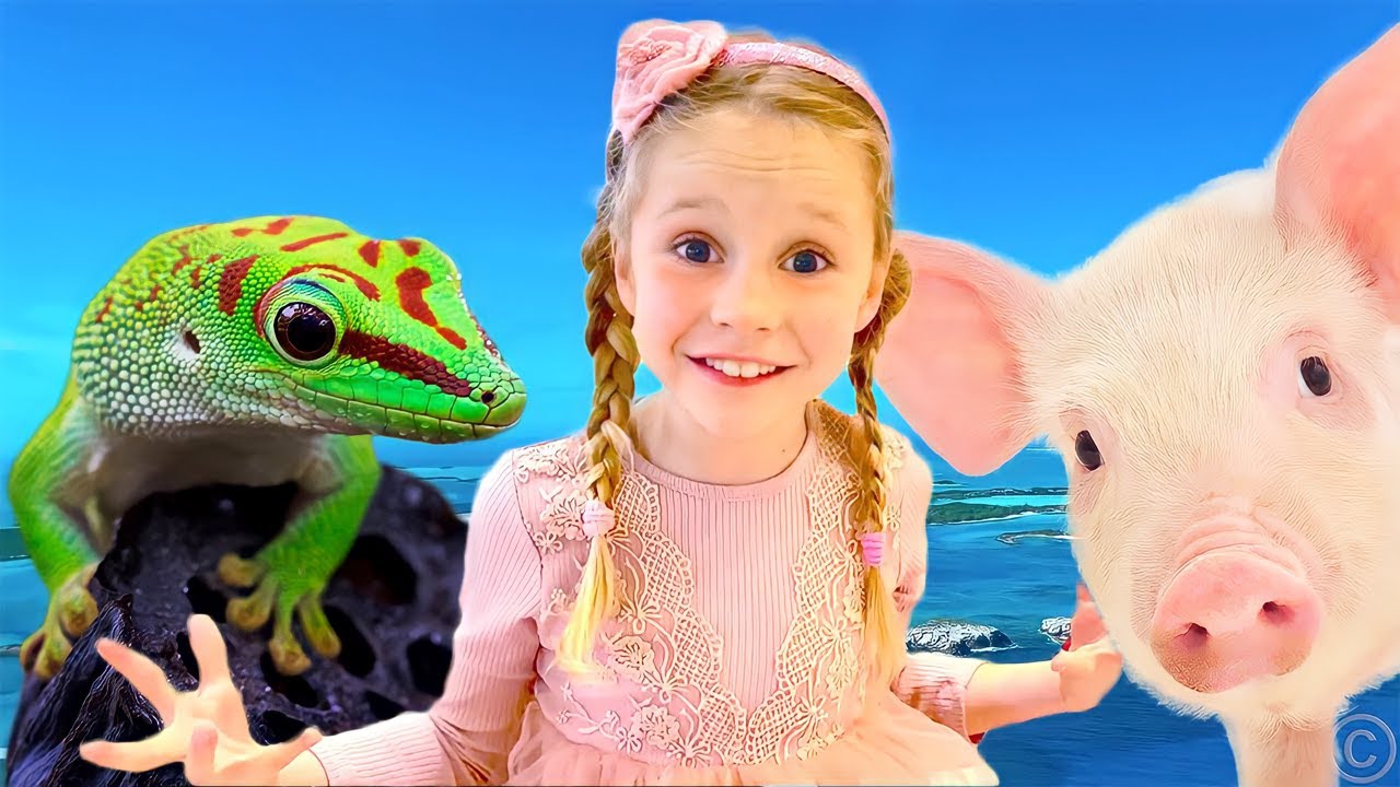 Nastya ve baba domuz adasına ve hayvanat bah&ccedil;esine aile gezisi | &Ccedil;ocuklar i&ccedil;in videoların derlenmesi