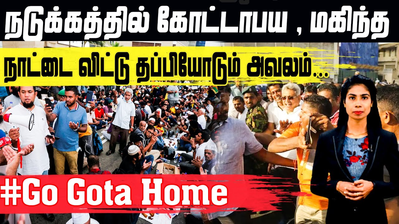 நடுக்கத்தில் கோட்டாபய, மகிந்த! நாட்டைவிட்டு தப்பியோடும் அவலம் | Sri Lanka Now | Mahinda | Gotabaya