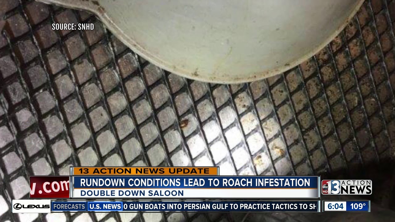 Double Down Saloon closed because of conditions