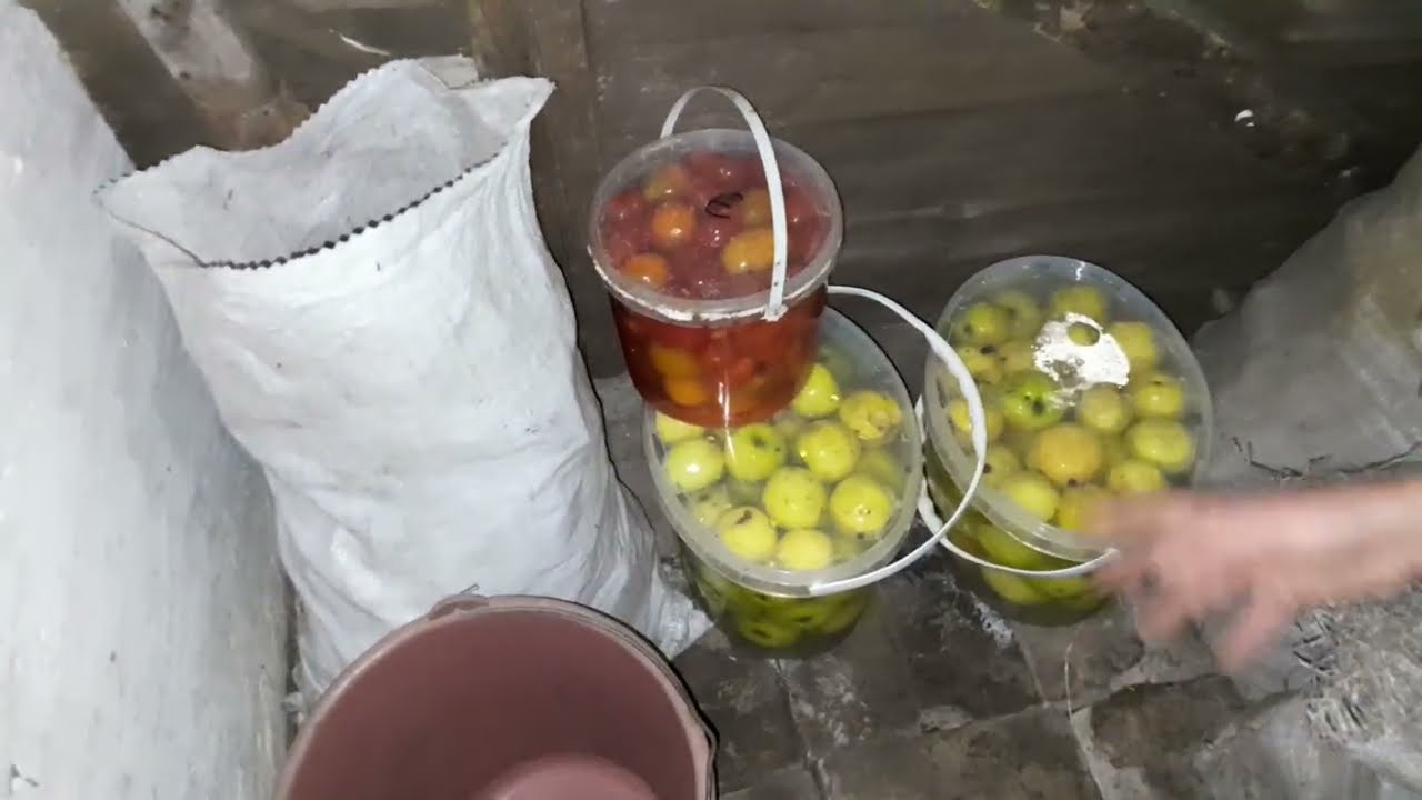 Сільський погріб-так зимувати можна...