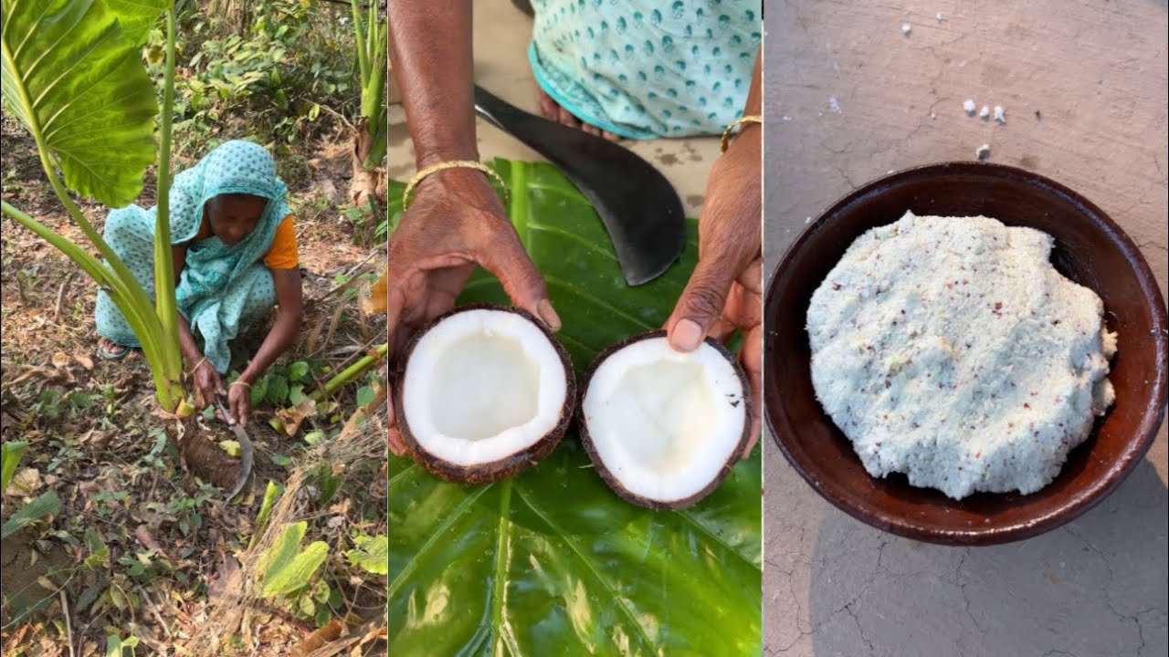 Raw Taro Paste with Coconut | Traditional Village Recipe
