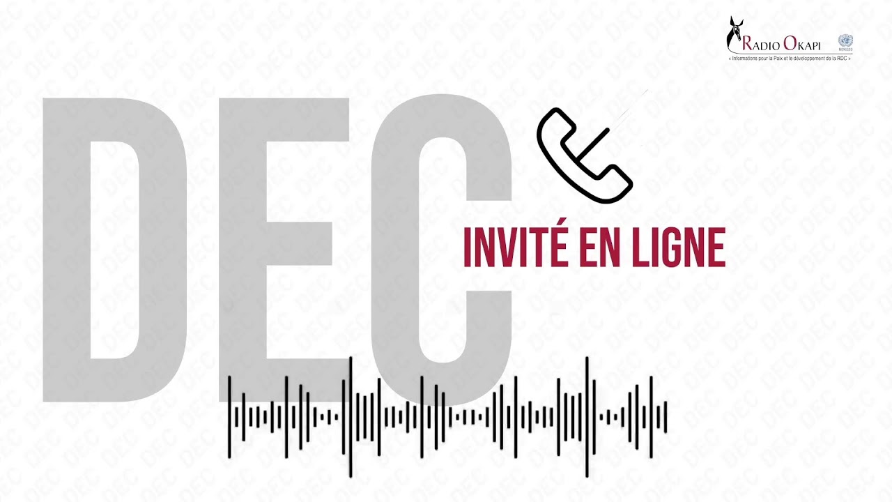 DIRECT |DEC:Evaluation des contrats sino-congolais