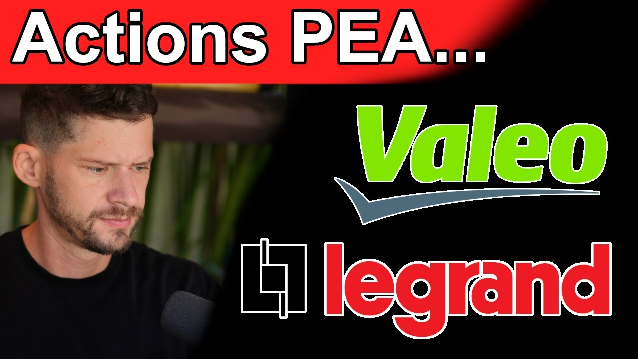 Actions Valeo et Legrand (éligibles PEA) : Baisse en bourse ! Je fais quoi ?