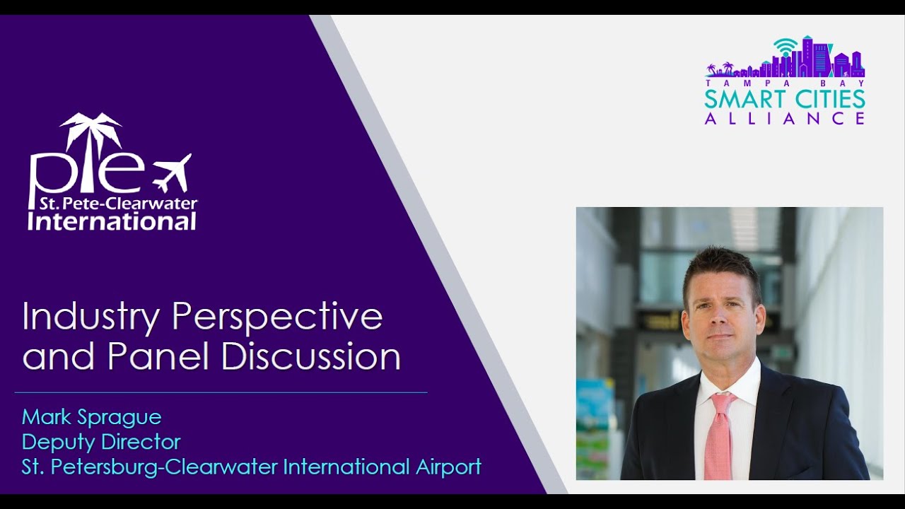 Advanced Air Mobility-Industry Perspective and Panel Discussion