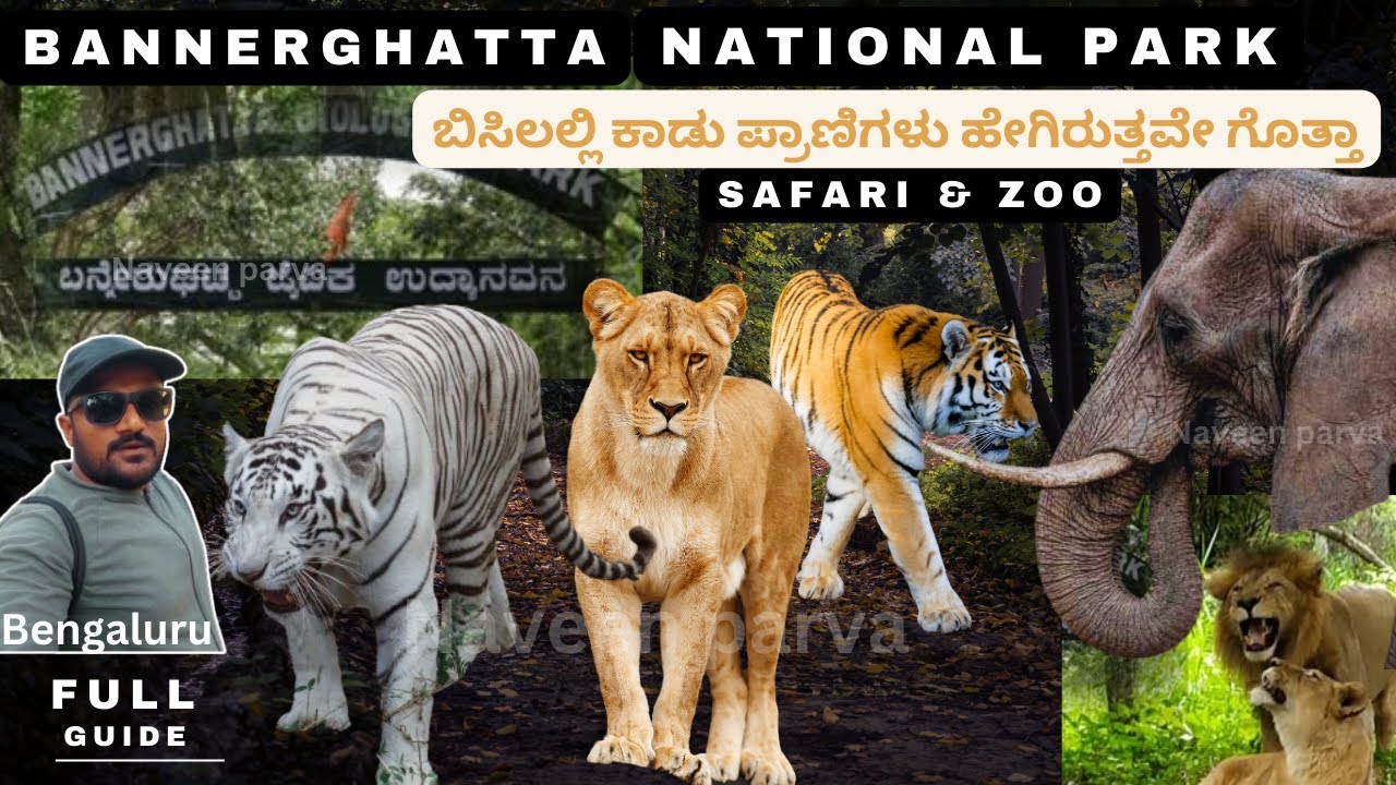 BANNERGHATTA NATIONAL PARK Jungle Safari & Zoo First Ever Detailed Kannada Vlog | Naveen Parva