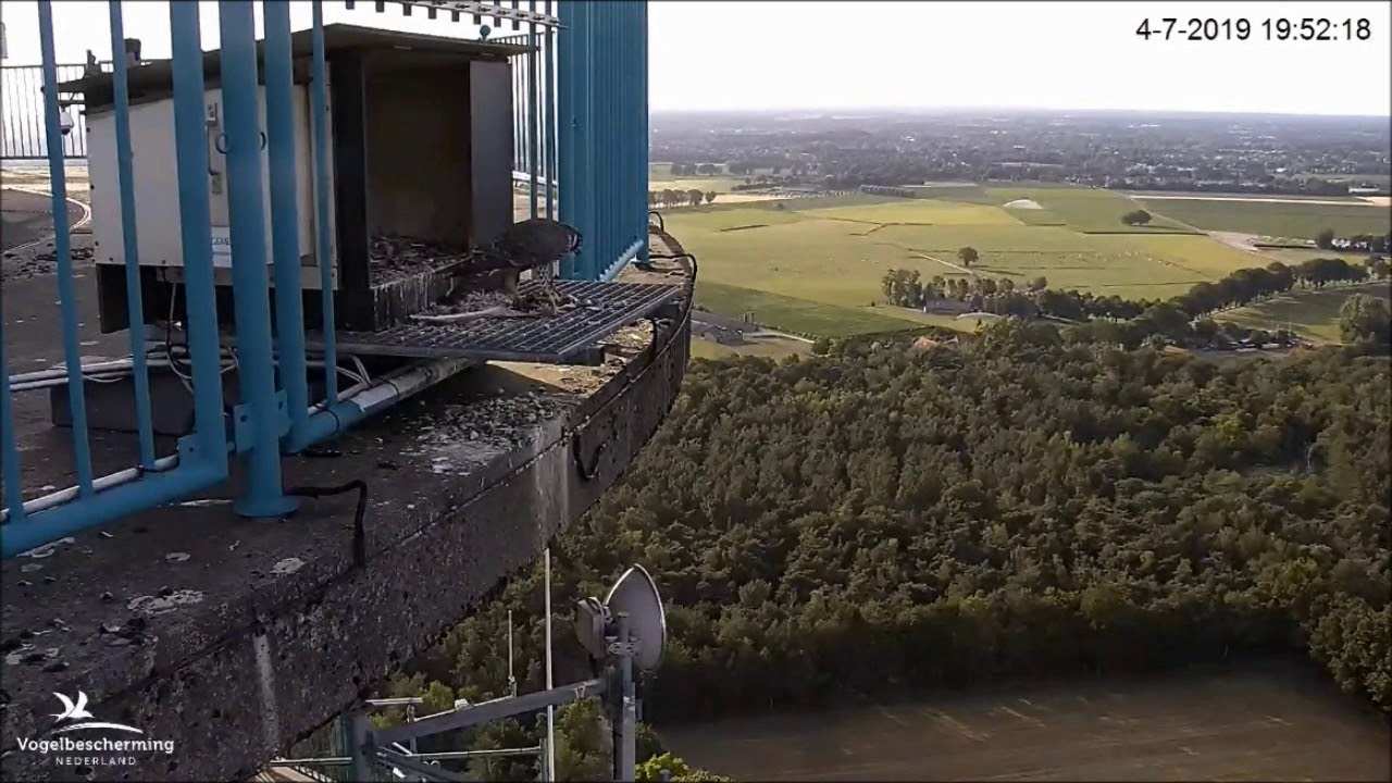 De Mortel 04072019 1945-2015