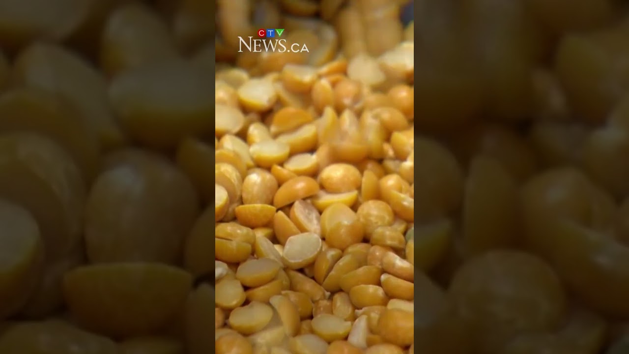 Saskatchewan canola producers react to tariff deal