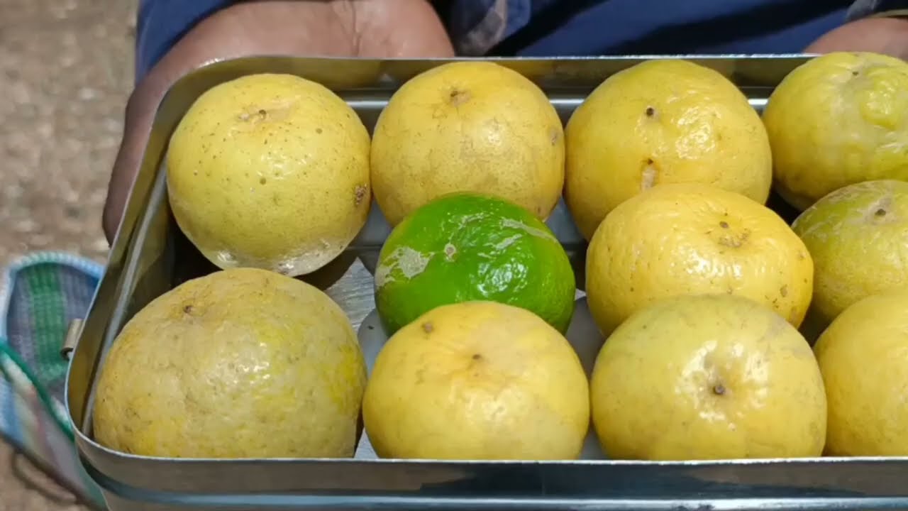 Best lemonfarm |ஒட்டு நாத்து முறையில் எலுமிச்சை வளர்த்து லட்சங்களில் வருமானம் ஈட்டும் இயற்கை விவசாயி