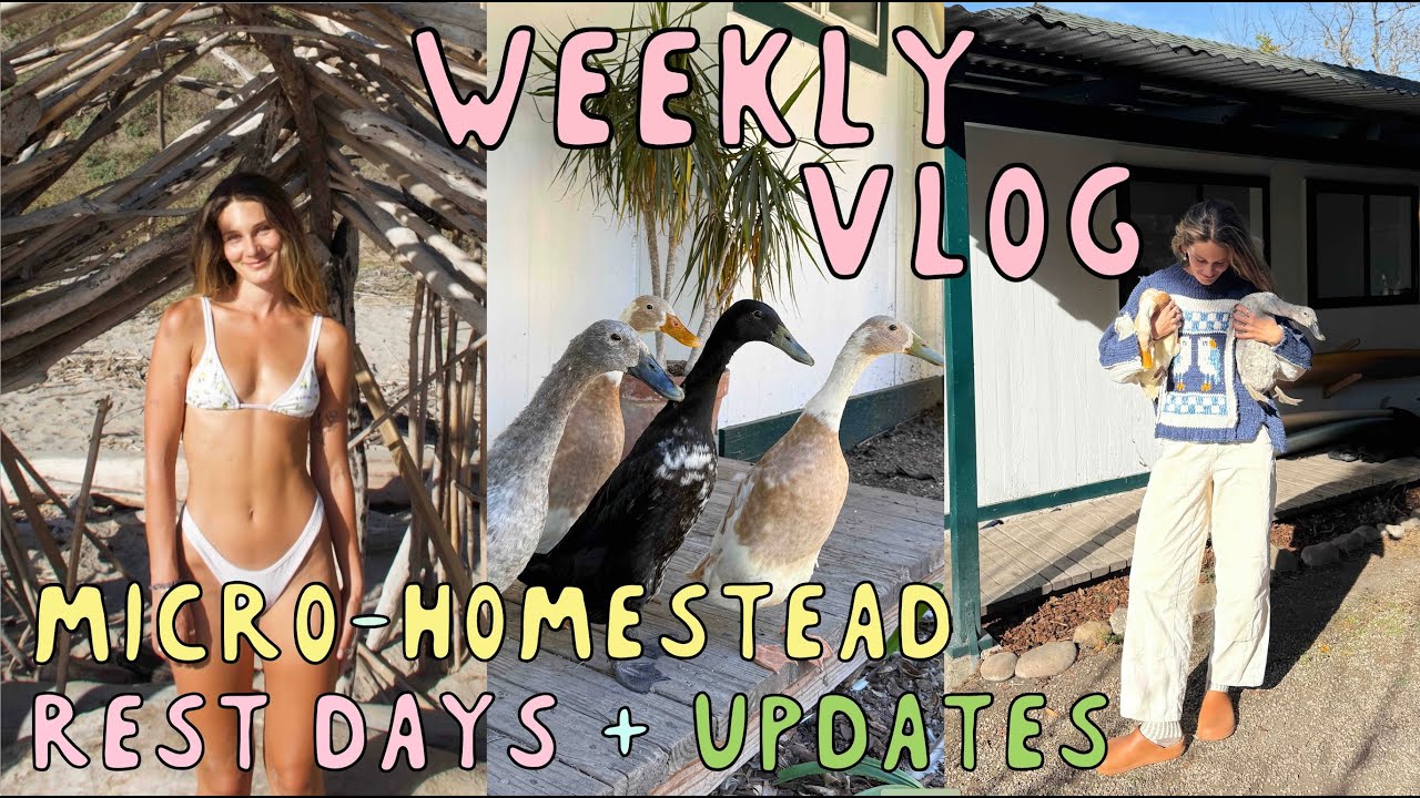 weekly vlog: micro homestead tasks, updates, homemade electrolytes, rest days