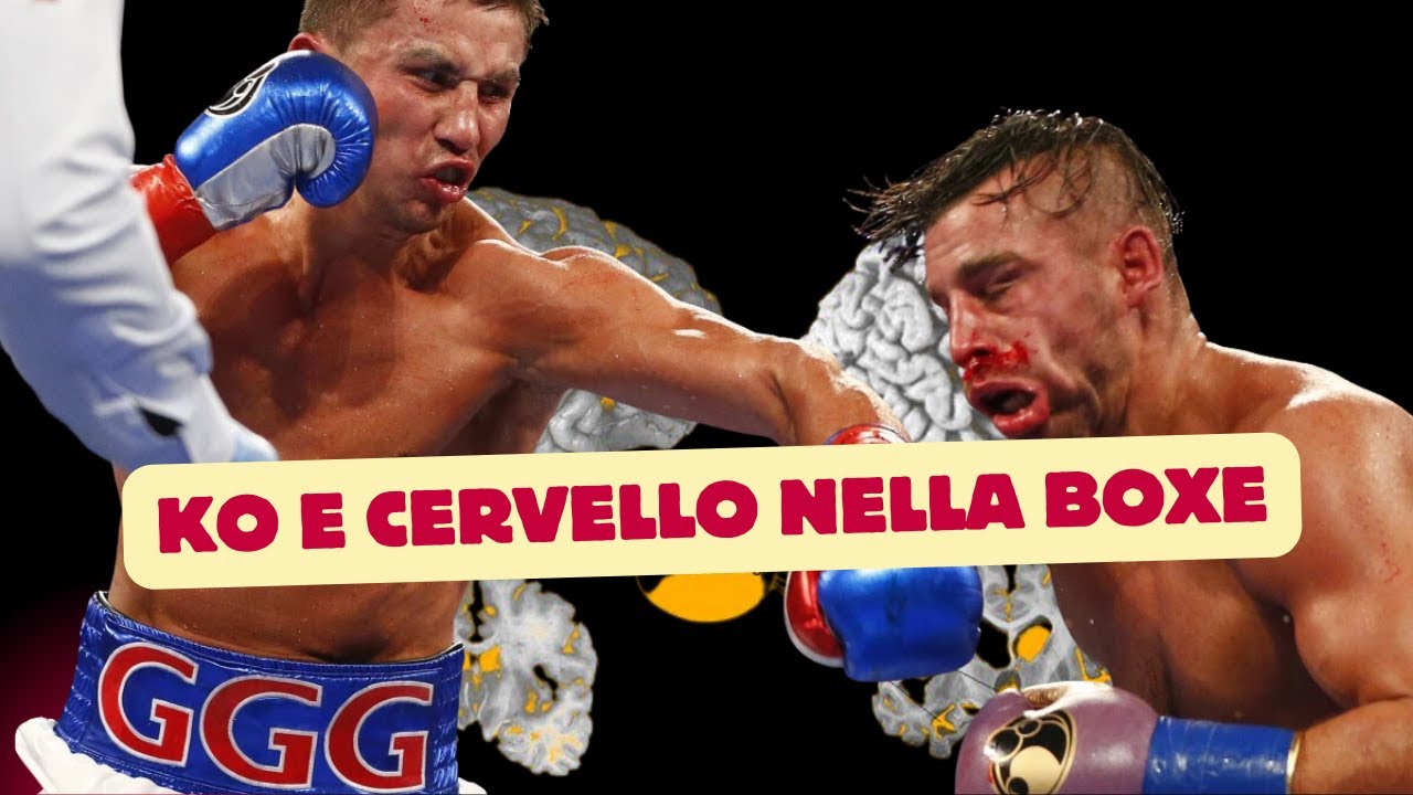 Ko e Cervello nella Boxe! Cosa succede al cervello quando prendo un KO?