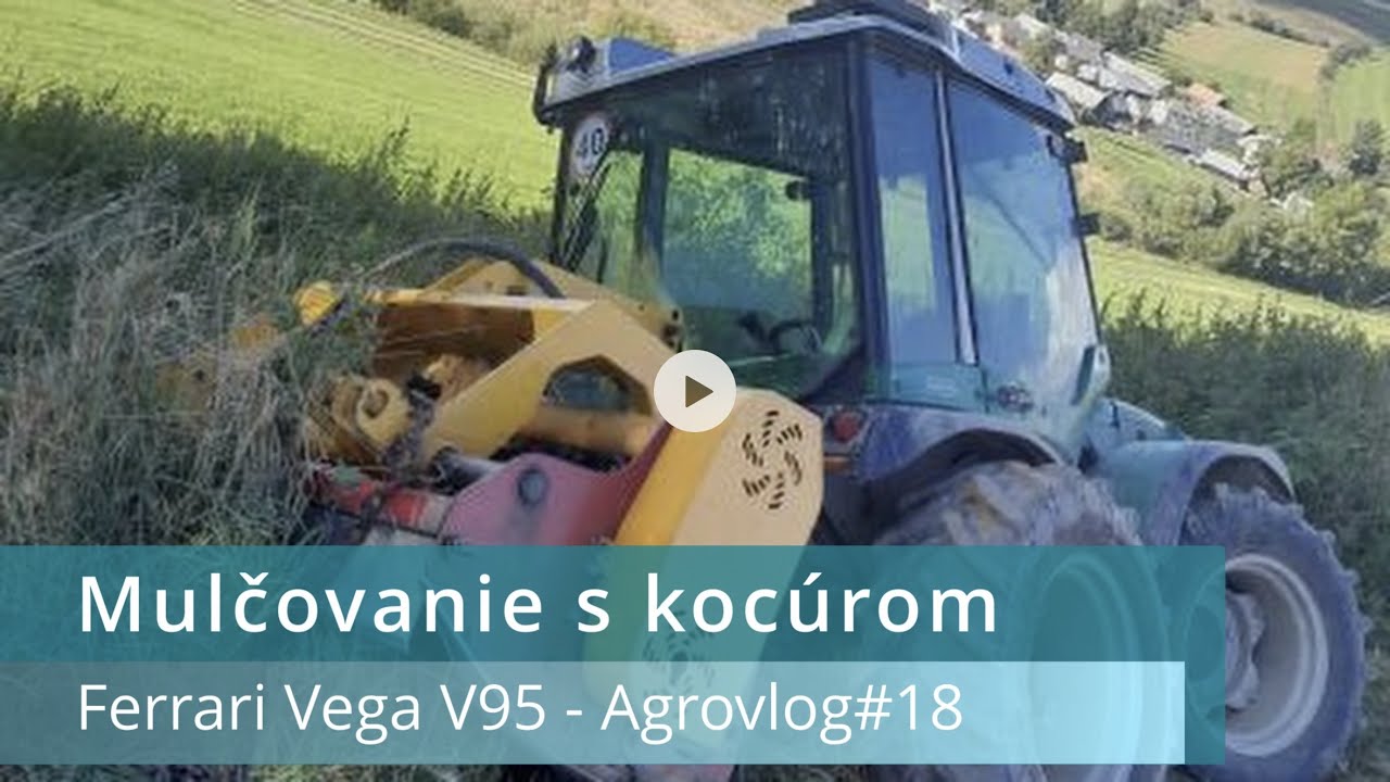 Mulcovanie s kocúrom! - Ferrari Vega V95 - Agrovlog#18