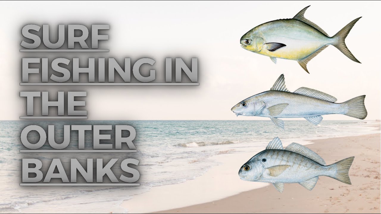Surf Fishing in the Outer Banks