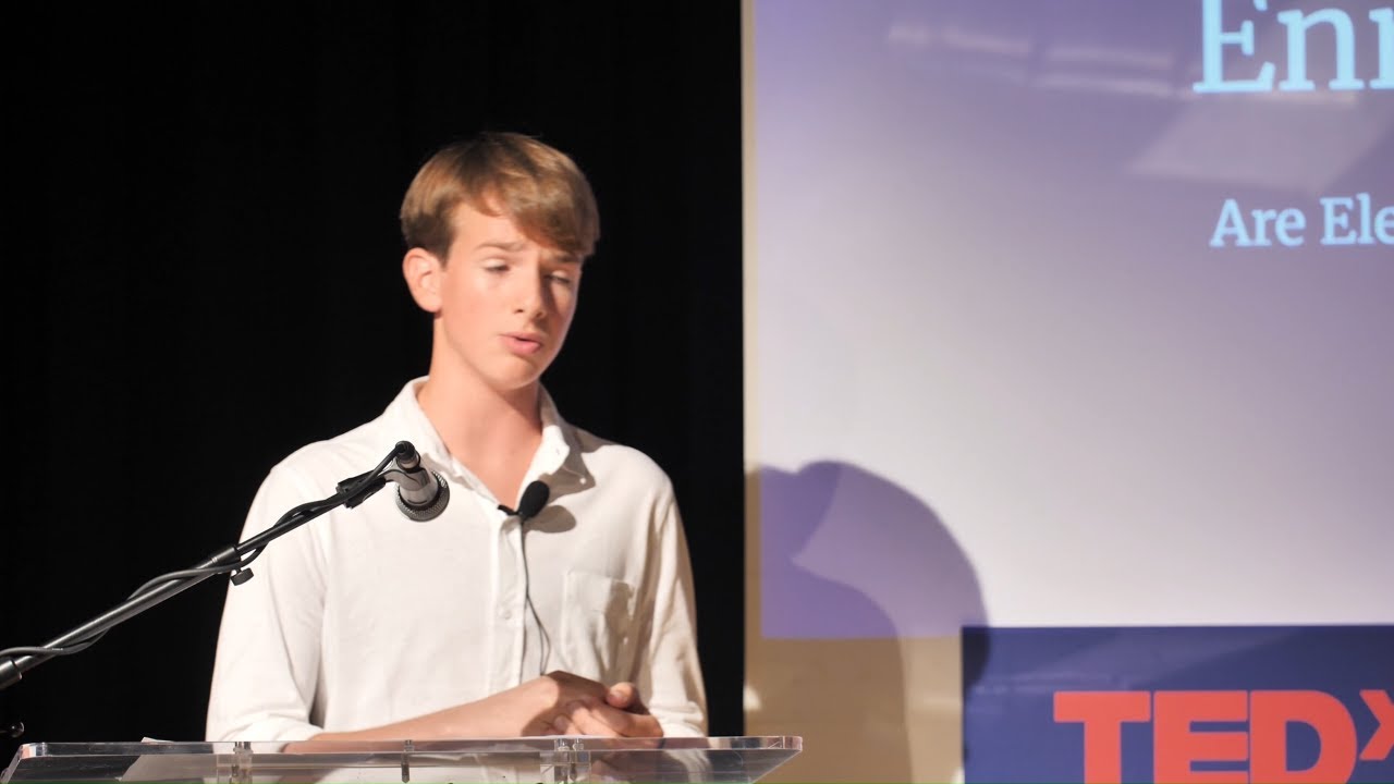 Are Electric Cars Truly a Sustainable Solution? | Enrico Palermo Murini | TEDxSGBIS Youth