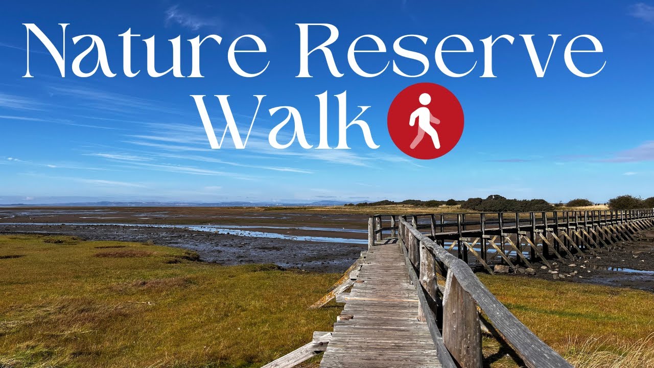 Stunning Aberlady Bay Nature Reserve Walk - A Scottish Gem