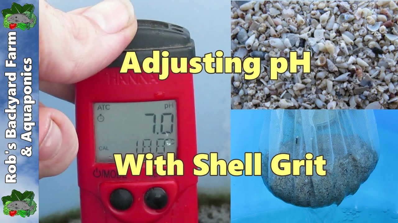Adjusting pH up in aquaponic / aquaculture systems with shell grit.. READ DESCRIPTION