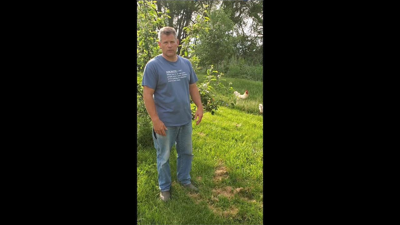 Homesteading Hints | Fruit Trees in Central Iowa