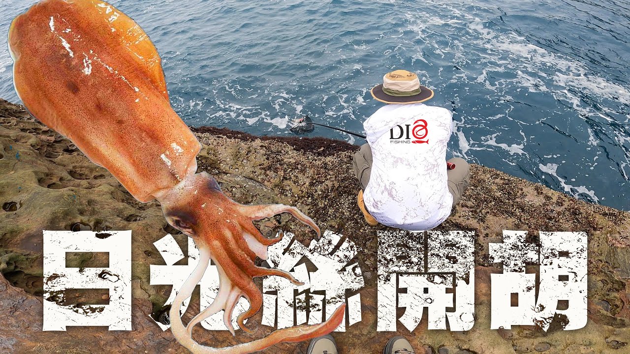 日光絲開胡 🐟 Shimano SEPHIA XR S86M-S 🐟 DIO魚Fishing