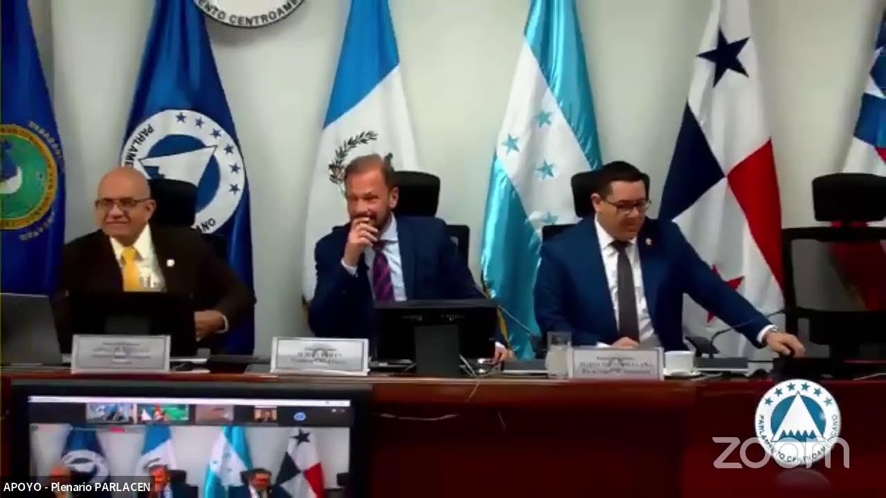Presentaci&oacute;n de la Asociaci&oacute;n de Energ&iacute;a Global